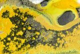 Very Vibrant, Free-Standing Polished Bumblebee Jasper #358622-1